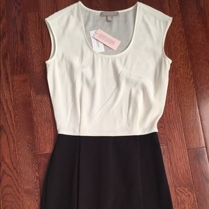 Banana Republic Ivory and Black Dress